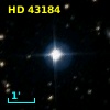 HD  43184