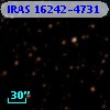 IRAS 16242-4731