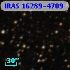 IRAS 16289-4709