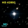 HD  42892