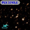 PLX 3743.1