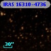 IRAS 16310-4736