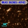 IRAS 16365-4742