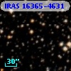 IRAS 16365-4631