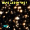 IRAS 16390-4637