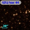 XZLJ Nor  44