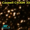 Caswell CH3OH 338.00+00.13