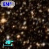 EM* VRMF   95