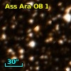 Ass Ara OB   1-