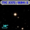 TYC 3375-1604-1