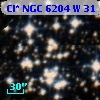 Cl* NGC 6204      W      31