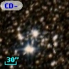 CD-47 10999