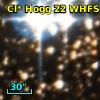 Cl* Hogg   22   WHFS      97