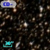 CD-47 11040