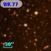 WR  77