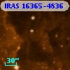 IRAS 16365-4836
