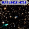 IRAS 16426-4709