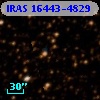 IRAS 16443-4829
