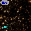IRAS 16447-4902