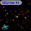 XZLJ Nor  81
