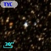 TYC 8334-264-1