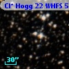 Cl* Hogg   22   WHFS      55