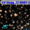 Cl* Hogg   22   WHFS     100