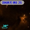 [SHJ87] IRS 25