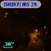 [SHJ87] IRS 28