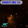 [SHJ87] IRS 31