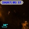 [SHJ87] IRS 37