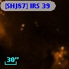 [SHJ87] IRS 39