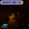[SHJ87] IRS 55