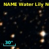 NAME WATER LILY NEBULA