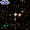 TYC 8331-1019-1