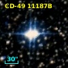 CD-49 11187B