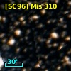 [SC96] Mis  310