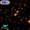 CD-49 11365