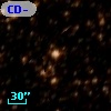 CD-49 11331