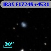 IRAS F17248+4531