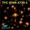 2MASS J17243568-4956273