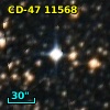 CD-47 11568