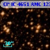 Cl* IC 4651    AMC    1232