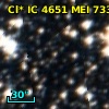 Cl* IC 4651    MEI    7338