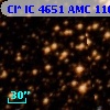 Cl* IC 4651    AMC    1101