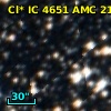 Cl* IC 4651    AMC    2102
