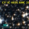 Cl* IC 4651    AMC    2103
