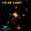CD-49 11607