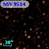 NSV  9514