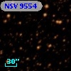 NSV  9554